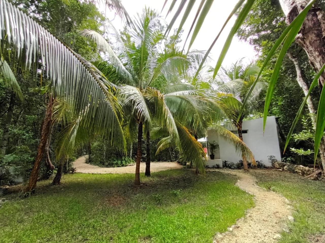 Villa Ixchel Private Pool Tulum Exteriör bild